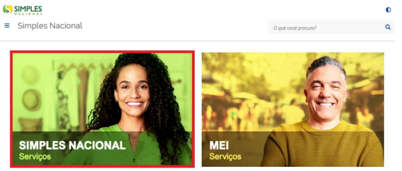 simulação simples nacional