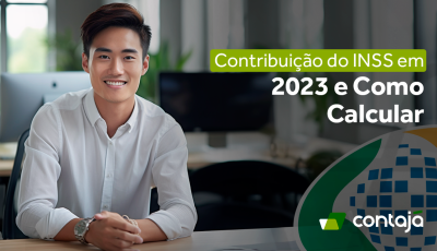 Contribuição do INSS em 2024 e Como Calcular