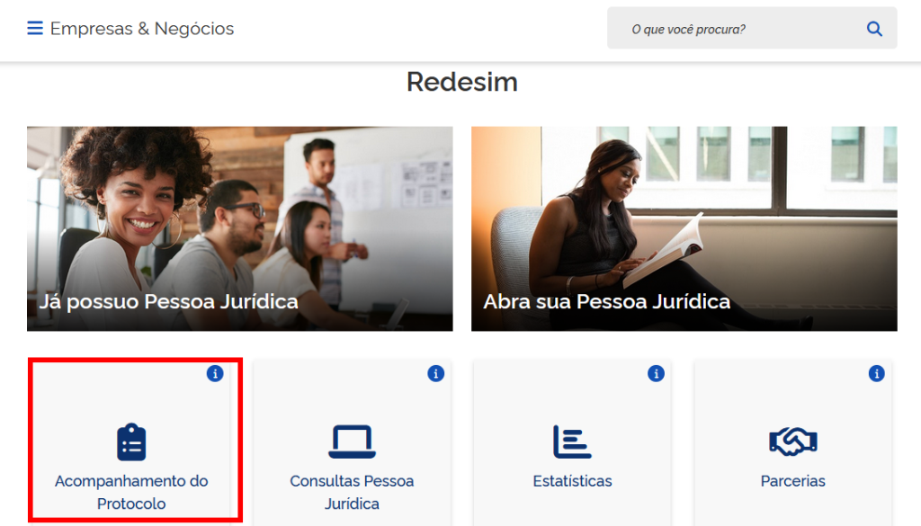 Acesse o site do gov.br e clique em acompanhamento do protocolo. Artigo: "DBE: Consulta, o que é e como emitir?"